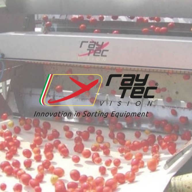 Raytec maquinas selectoras de alimentos